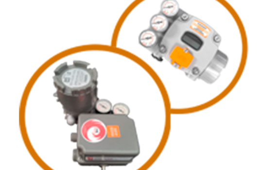 POSIC VALTEK SUL - ASSIST TEC SPARE VALVES